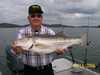 (10/13/2008) - Nice Striped Bass