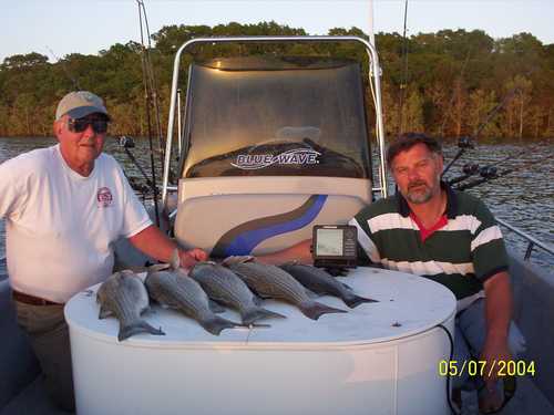 Nice Striped Bass