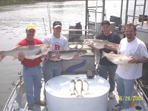 Nice Striped Bass