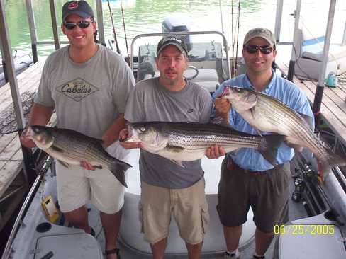 Nice Striped Bass