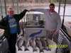 (04/22/2007) - Nice Striped Bass