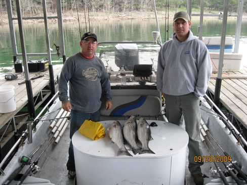 Nice Striped Bass