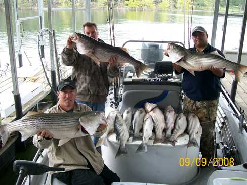 Nice Striped Bass