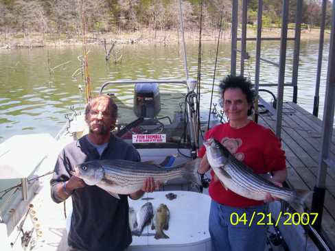 Nice Striped Bass