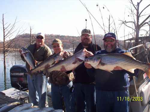 Nice Striped Bass