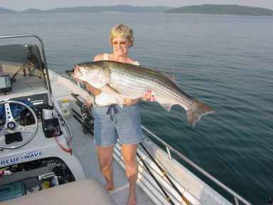 Nice Striped Bass