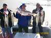 (04/10/2008) - Nice Striped Bass