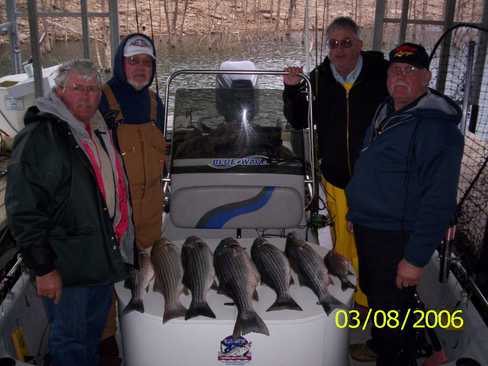 Nice Striped Bass