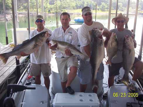 Nice Striped Bass