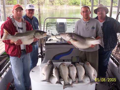 Nice Striped Bass