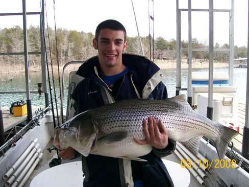 Nice Striped Bass