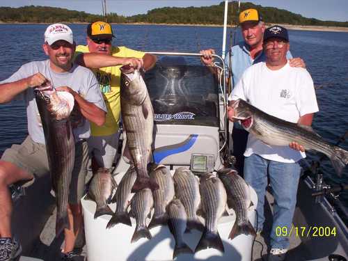 Nice Striped Bass