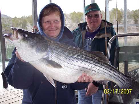 Nice Striped Bass