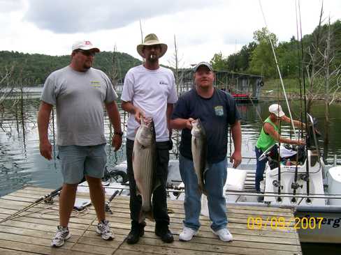 Nice Striped Bass