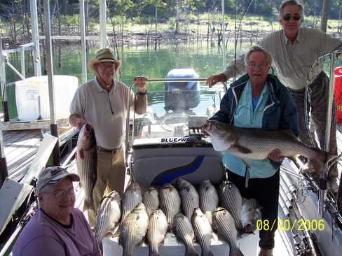 Nice Striped Bass