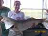 (06/30/2008) - Nice Striped Bass