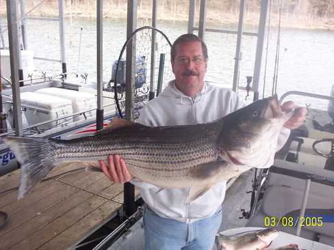 Nice Striped Bass