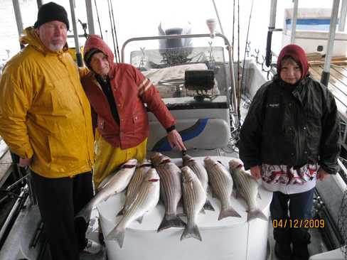 Nice Striped Bass