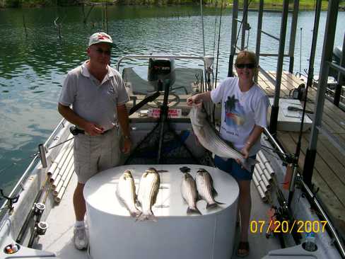 Nice Striped Bass