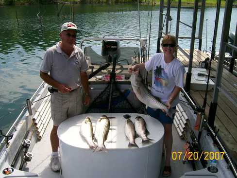 Nice Striped Bass