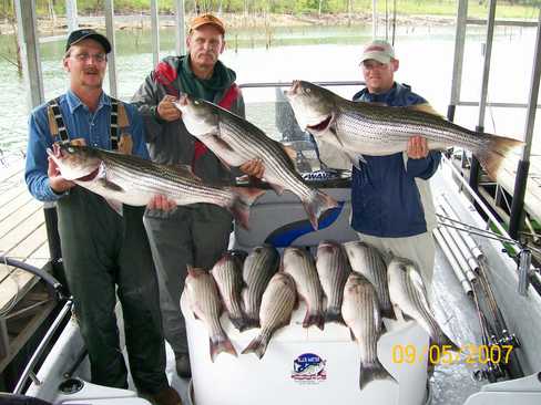 Nice Striped Bass