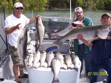 Nice Striped Bass