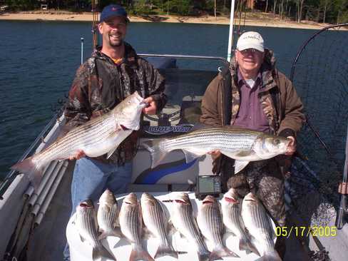 Nice Striped Bass