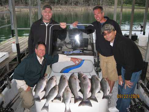 Nice Striped Bass