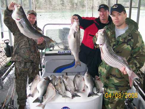 Nice Striped Bass