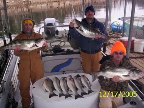 Nice Striped Bass