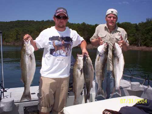 Nice Striped Bass