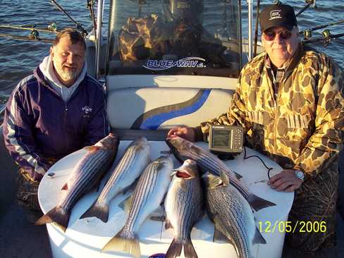 Nice Striped Bass