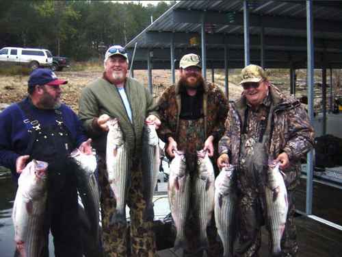 Nice Striped Bass