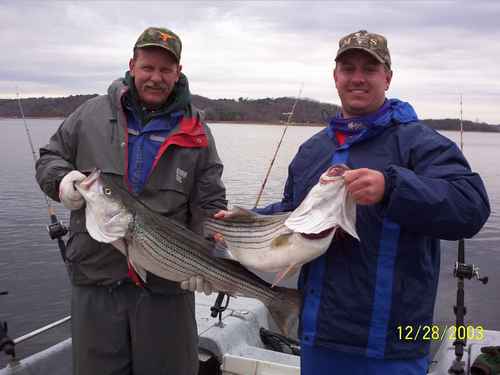 Nice Striped Bass