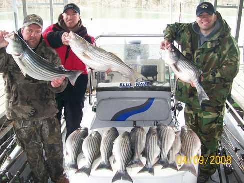 Nice Striped Bass