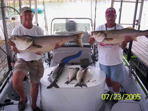 Nice Striped Bass