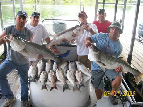 Nice Striped Bass
