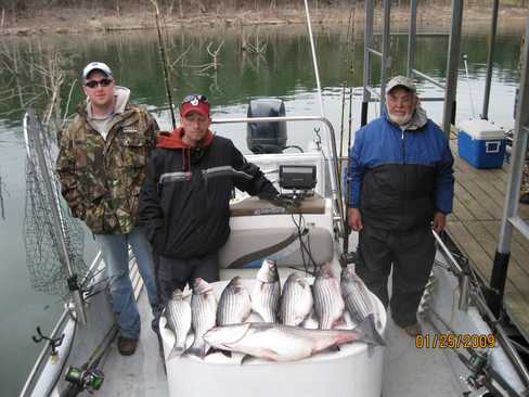 Nice Striped Bass