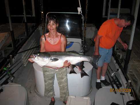 Nice Striped Bass