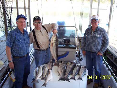 Nice Striped Bass