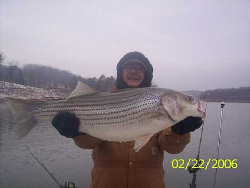 Nice Striped Bass