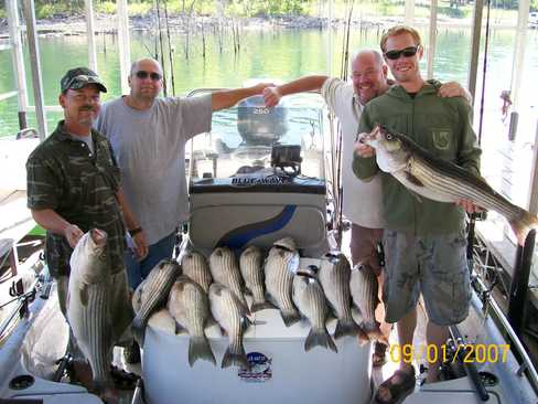 Nice Striped Bass