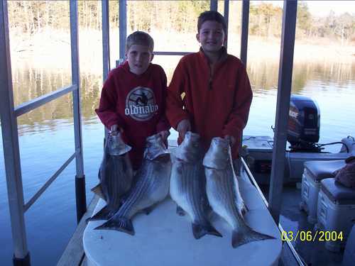 Nice Striped Bass