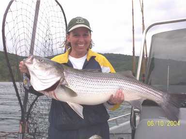 Nice Striped Bass