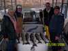 (03/08/2006) - Nice Striped Bass