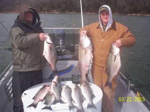 Nice Striped Bass