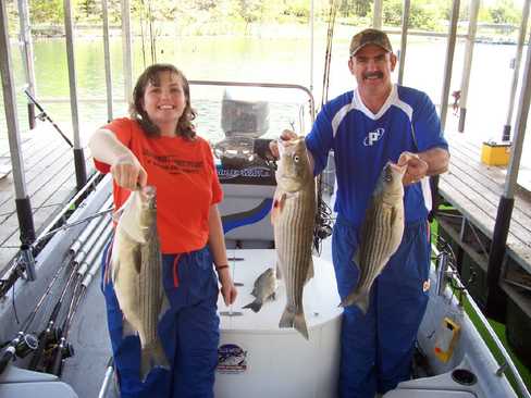 Nice Striped Bass