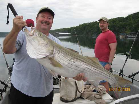 Nice Striped Bass