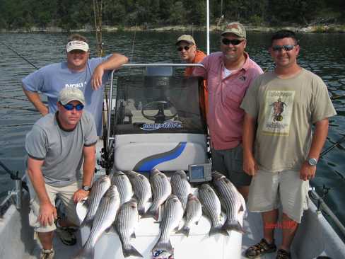 Nice Striped Bass
