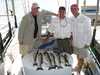 (06/24/2009) - Nice Striped Bass